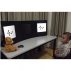 Inside of the Baby Lab: a baby sitting in front of a desk on which there are a teddy bear and two screens.
